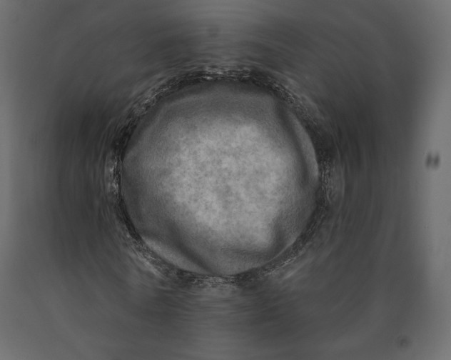 X0000090440770200708031153