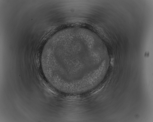 X0000090440771200708031153