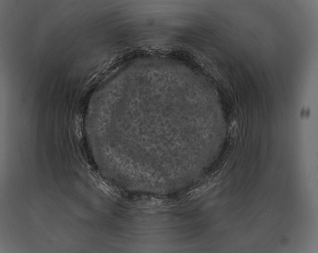 X0000090440772200708031153