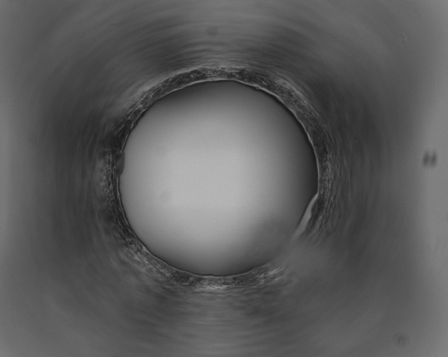 X0000090440773200708031153