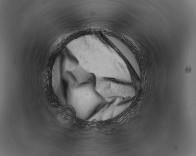 X0000090440776200708031153