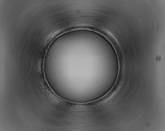 X0000090440777200708031153