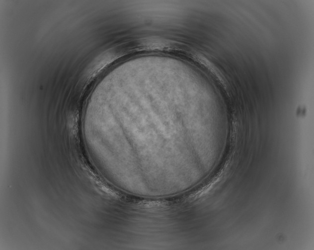 X0000090440778200708031153