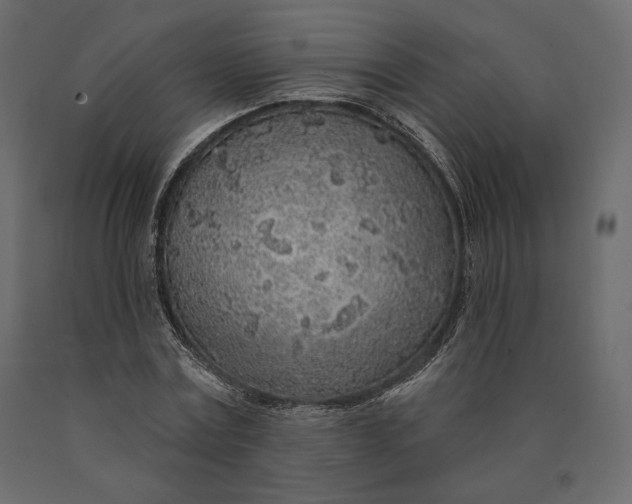 X0000090440779200708031153