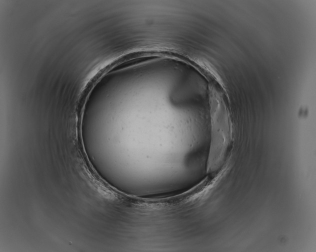 X0000090440781200708031153