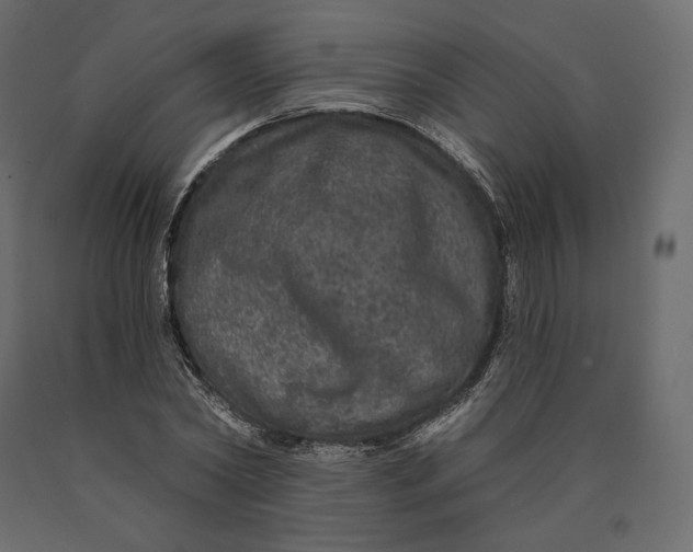 X0000090440782200708031153