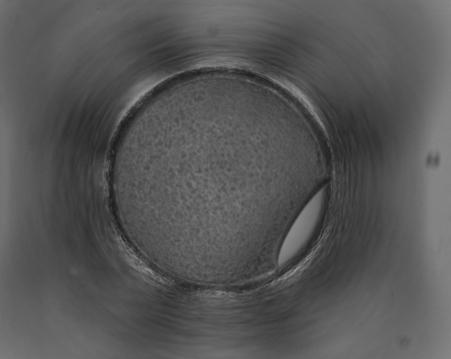 X0000090440783200708031153