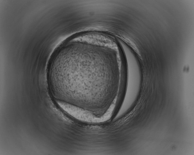 X0000090440784200708031153