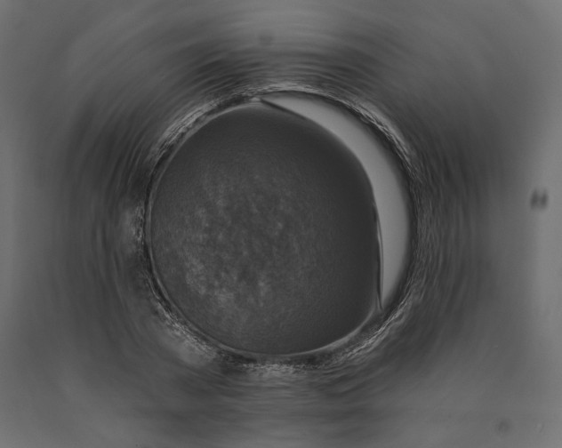 X0000090440785200708031153