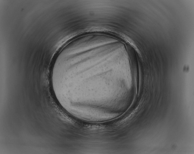 X0000090440786200708031153