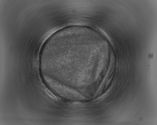 X0000090440787200708031153