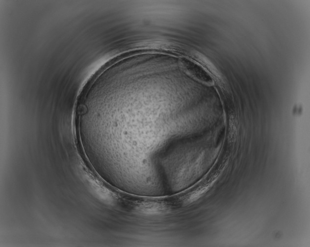 X0000090440788200708031152