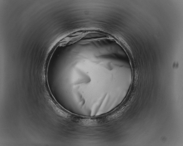 X0000090440789200708031152