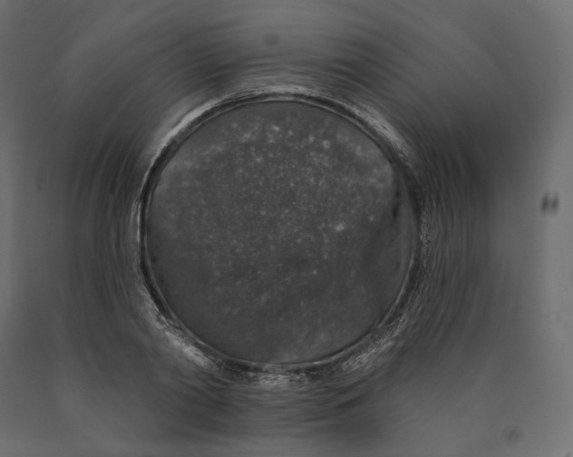 X0000090440790200708031152