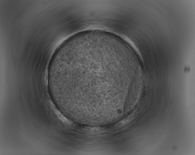 X0000090440791200708031152