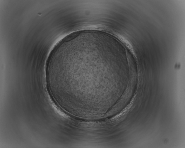 X0000090440792200708031152