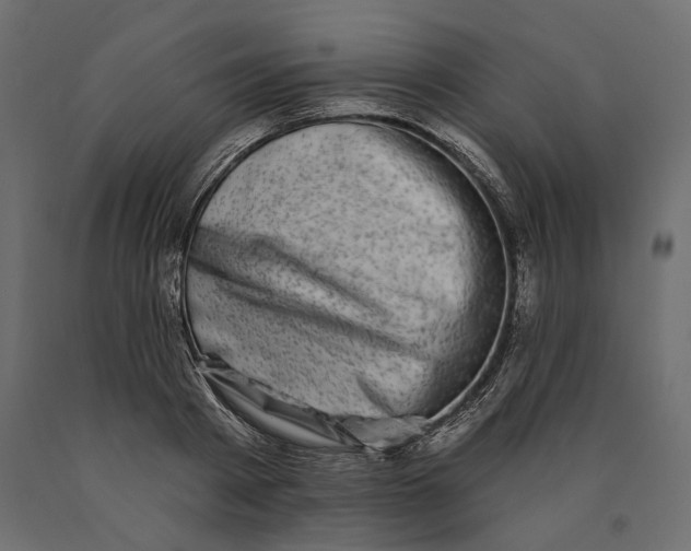 X0000090440793200708031152