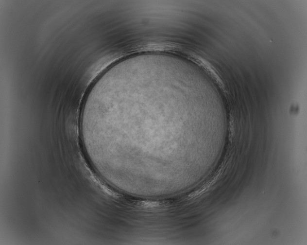 X0000090440794200708031152