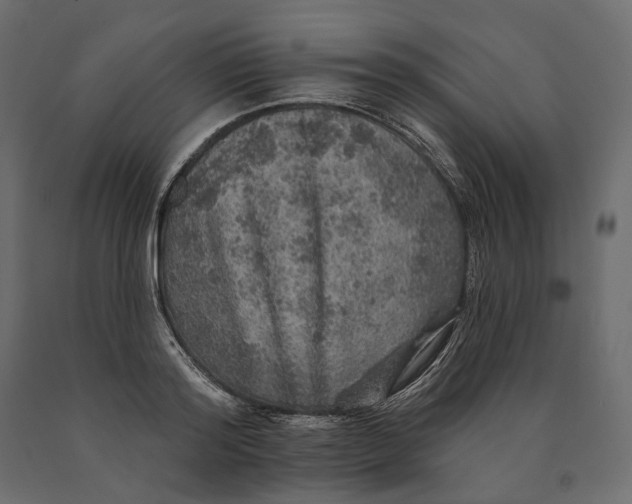 X0000090440796200708031152