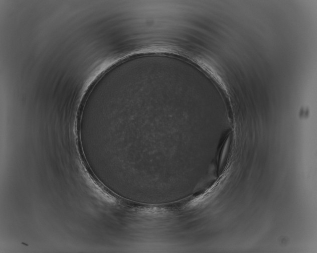 X0000090440797200708031152