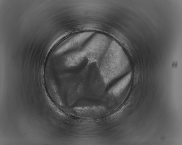 X0000090440798200708031152