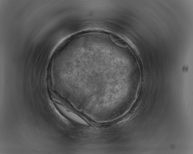 X0000090440799200708031152