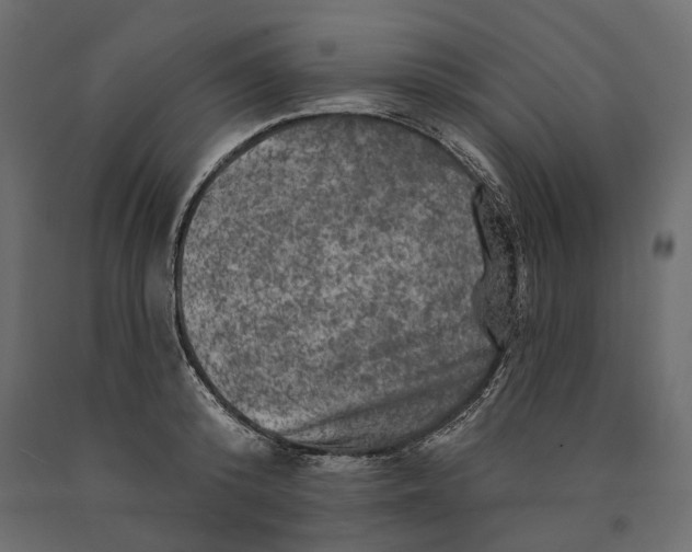 X0000090440800200708031152