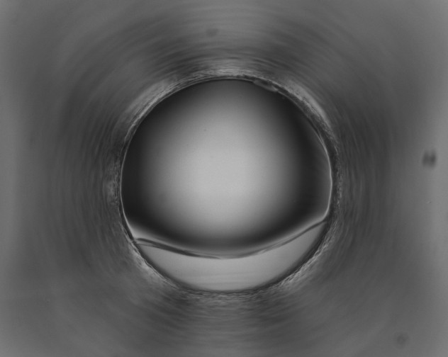 X0000090440801200708031152