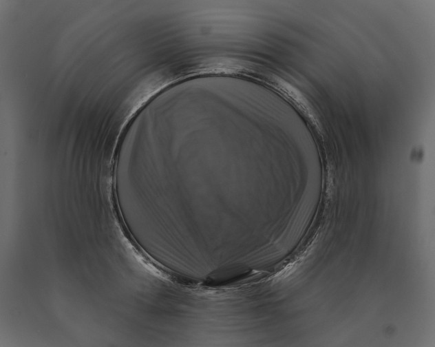 X0000090440802200708031152