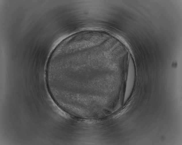 X0000090440803200708031152