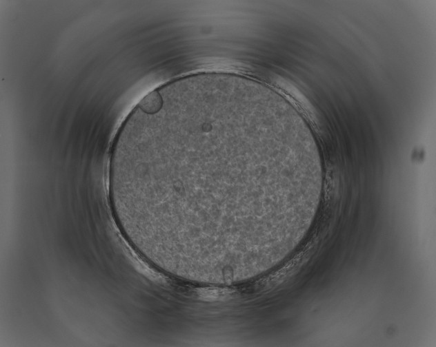 X0000090440804200708031152