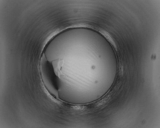 X0000090440805200708031152