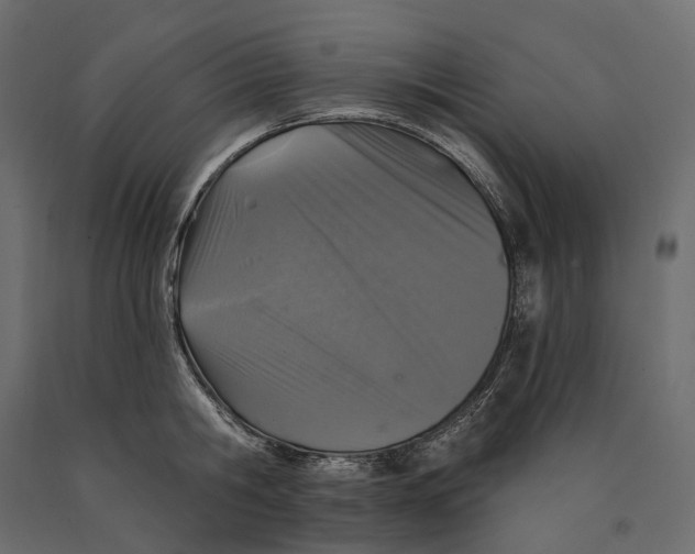 X0000090440806200708031152