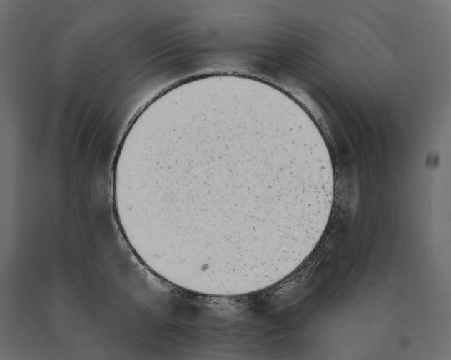 X0000090440807200708031152