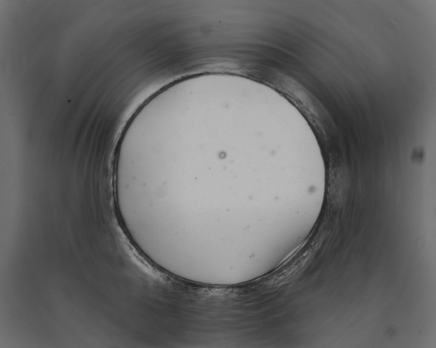 X0000090440808200708031152