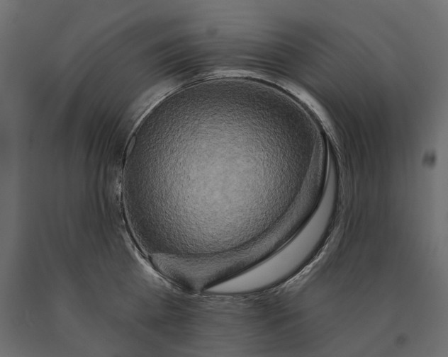 X0000090440809200708031152