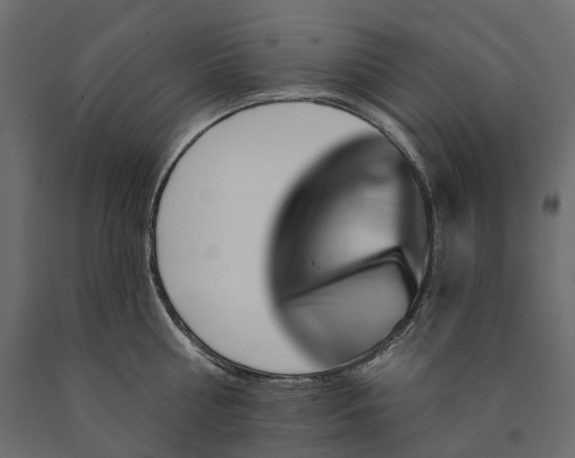 X0000090440810200708031152