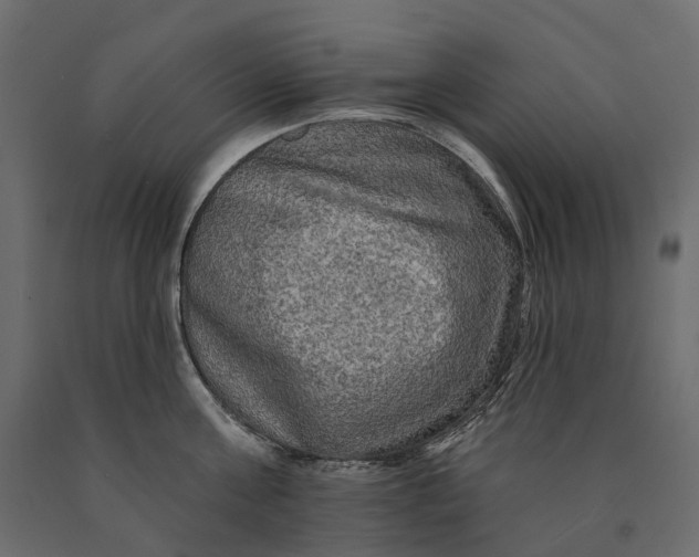 X0000090440811200708031152