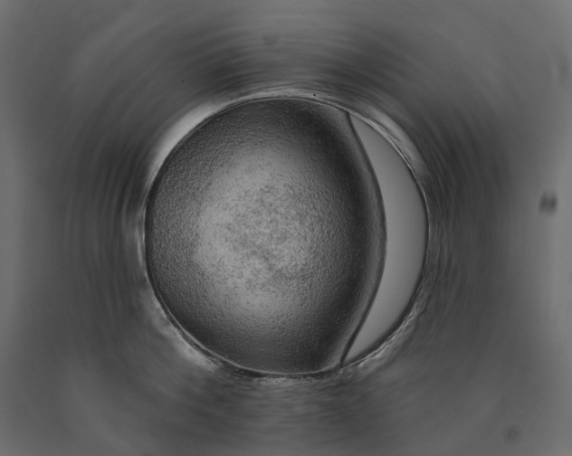 X0000090440812200708031152