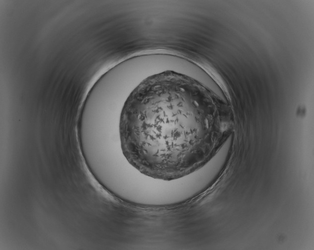 X0000090440813200708031152