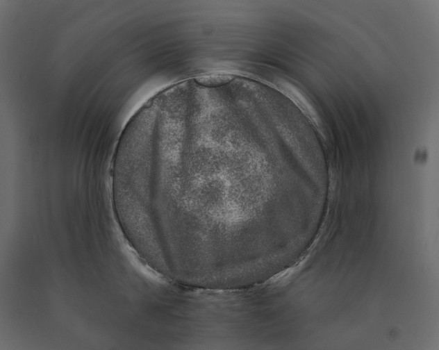 X0000090440814200708031152