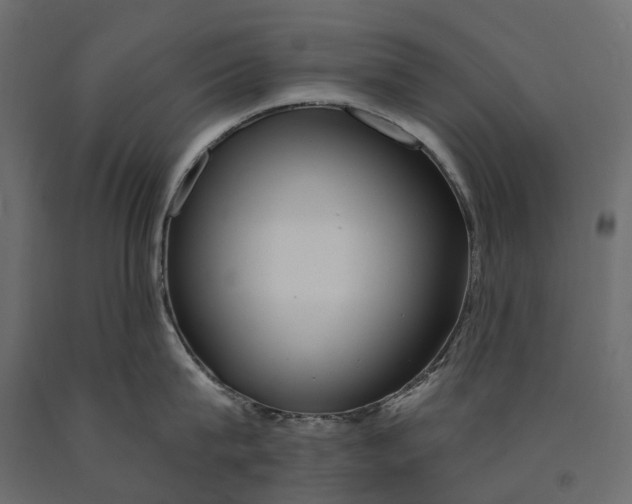 X0000090440815200708031152