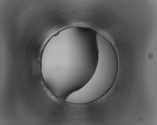 X0000090440816200708031152