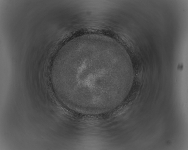 X0000090440817200708031151