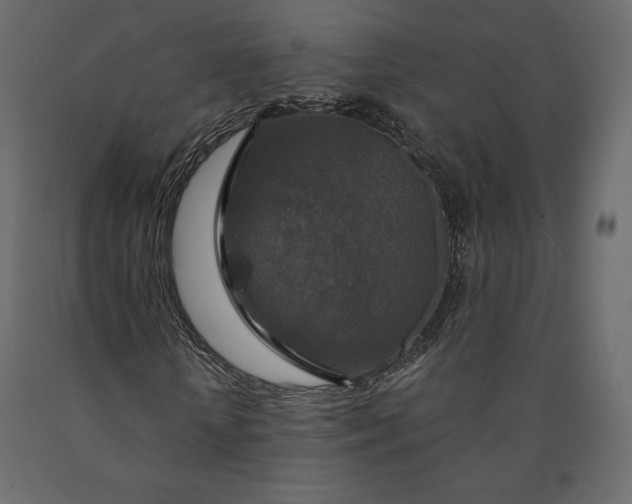 X0000090440818200708031151