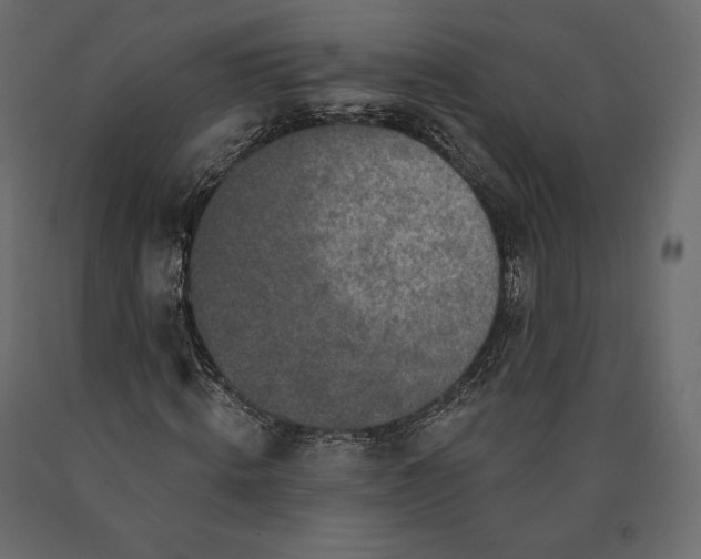 X0000090440820200708031151