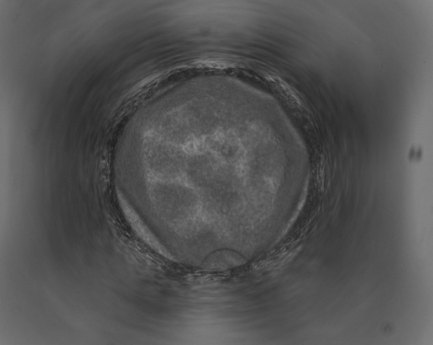 X0000090440821200708031151