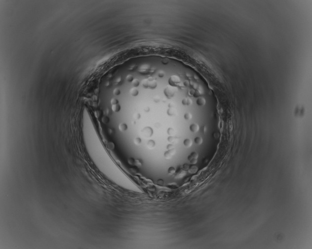 X0000090440822200708031152