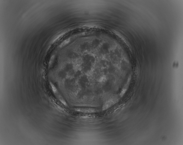 X0000090440823200708031152