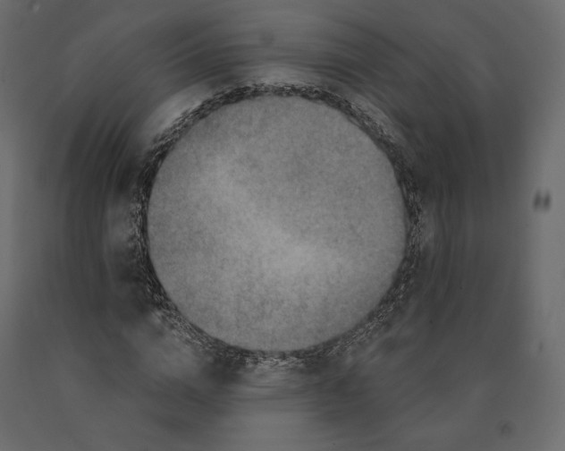 X0000090440824200708031152